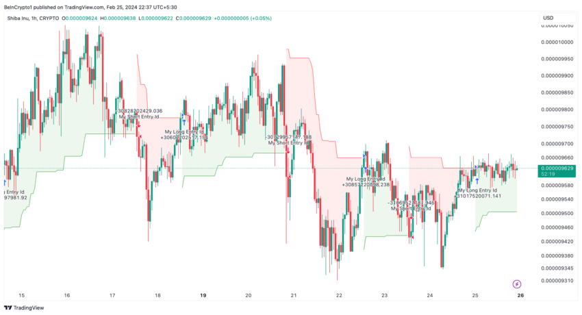 Shiba Inu (SHIB) Price Performance