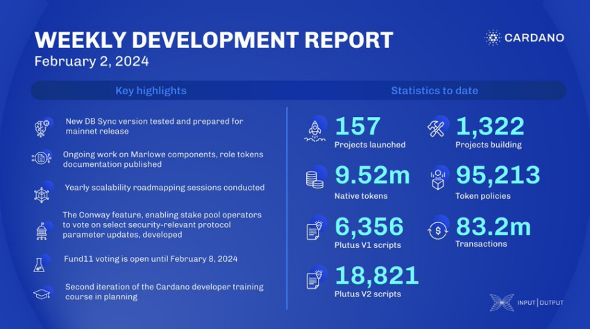 Cardano ecosystem development