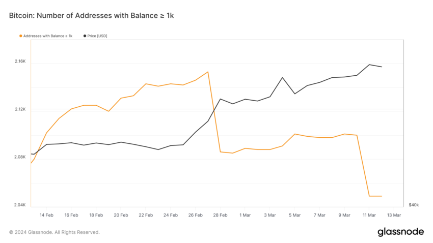 Bitcoin Addresses Holding 1,000 BTC or More