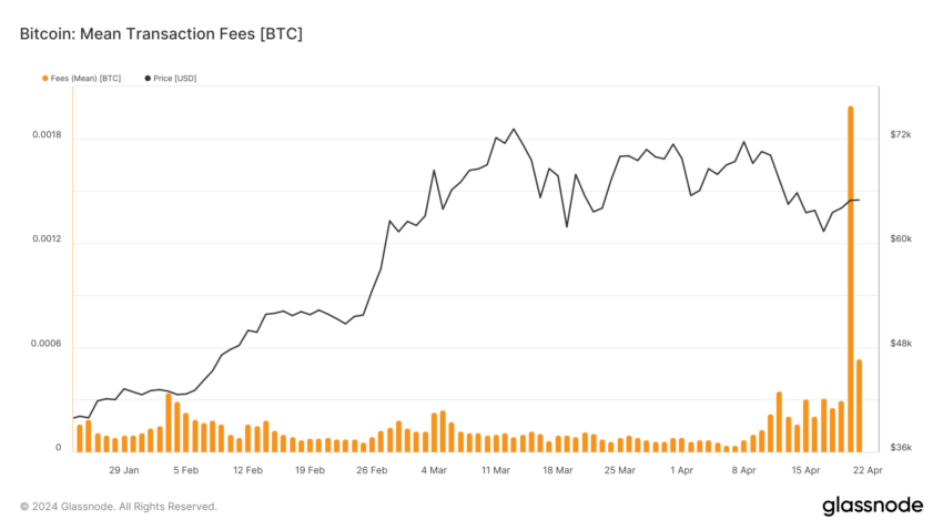 Bitcoin Transaction Fees