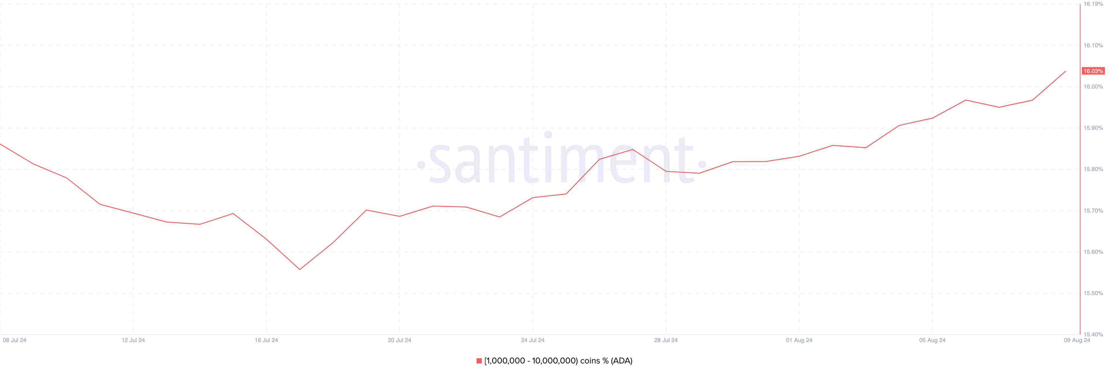 Cardano Balance of Addresses
