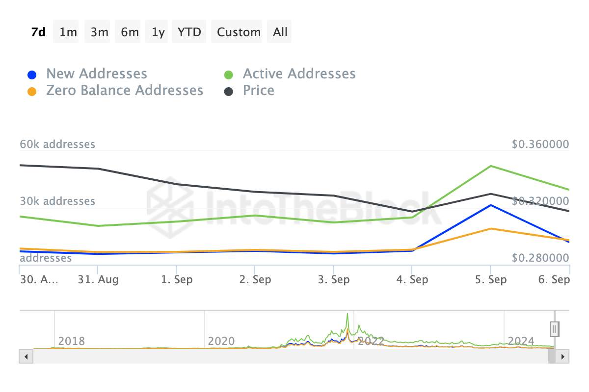 Cardano Network Activity. 