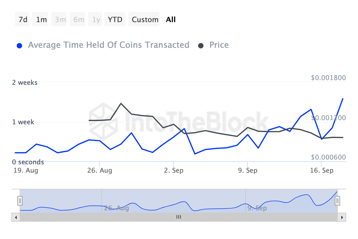 DOGS Coins Holding Time. 