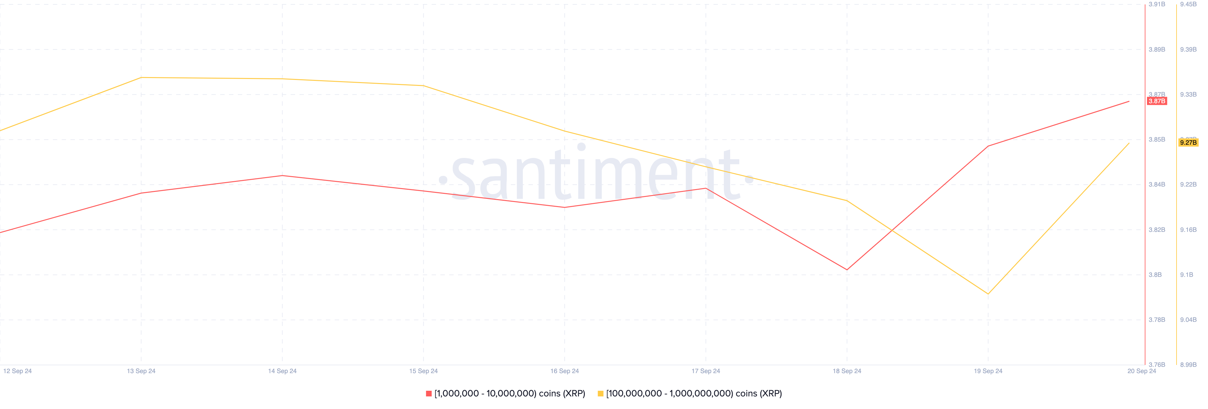 Ripple XRP Whale Accumulation. 