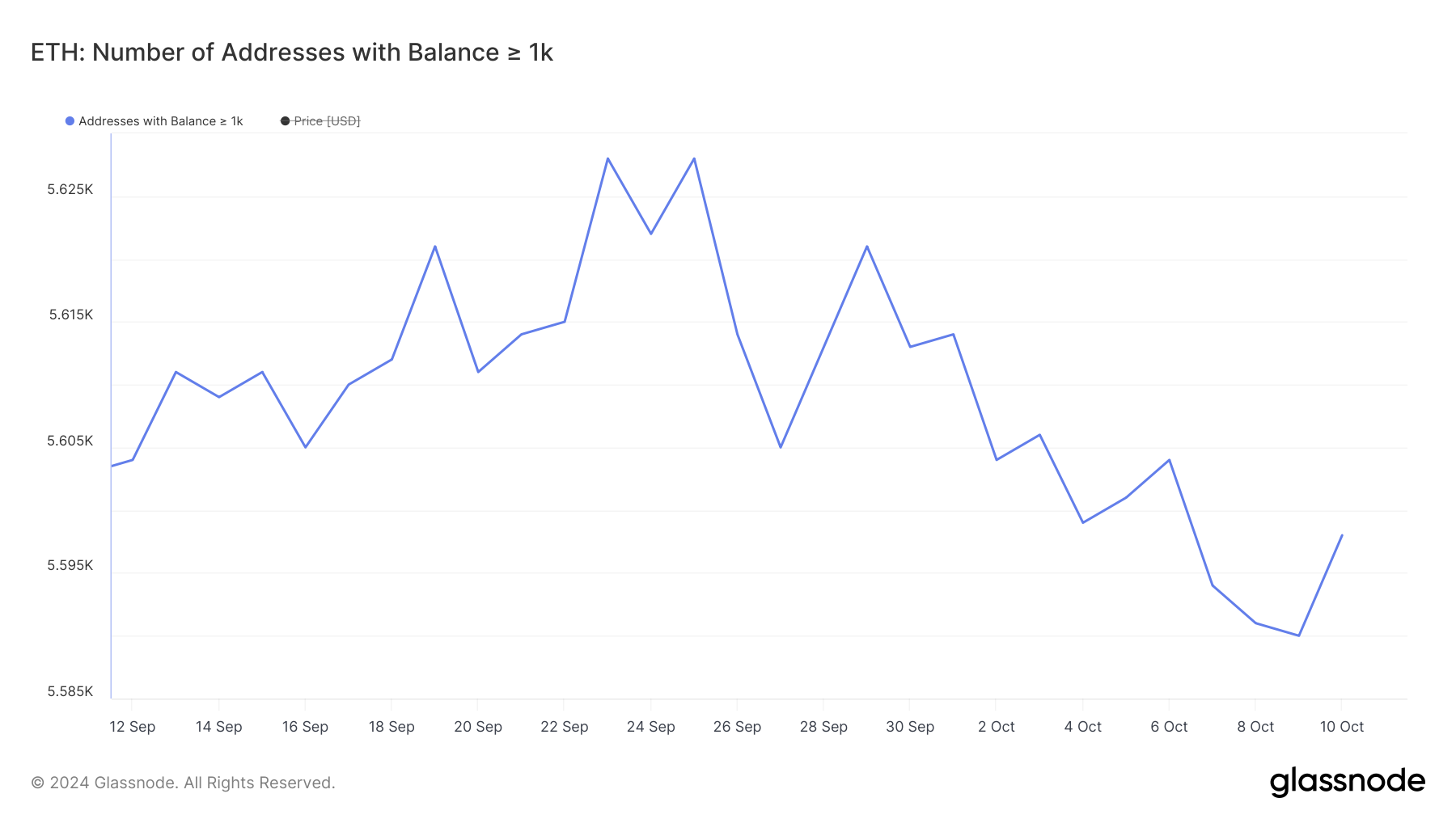 Addresses with Balance >= 1,000 ETH.