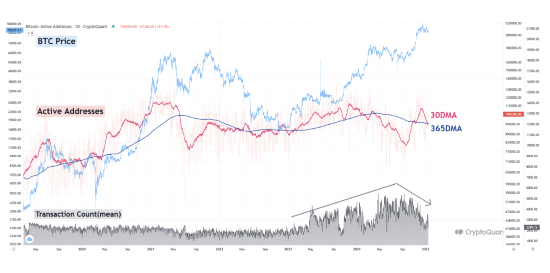 Bitcoin Network Activity